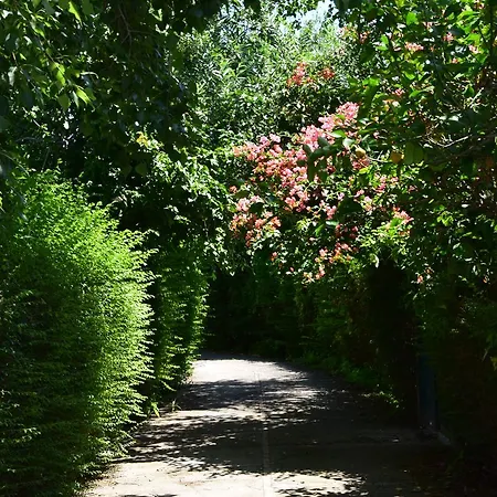 Del Golfo * Προτσίντα