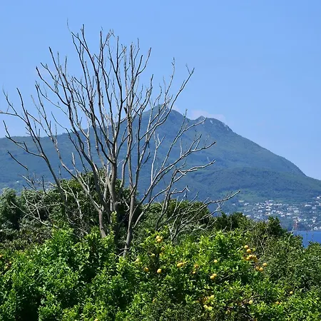 Del Golfo Aparthotel Procida